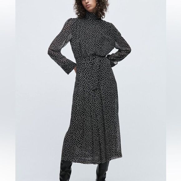 NWT Zara Polka Dot Print Dress - Picture 1 of 12